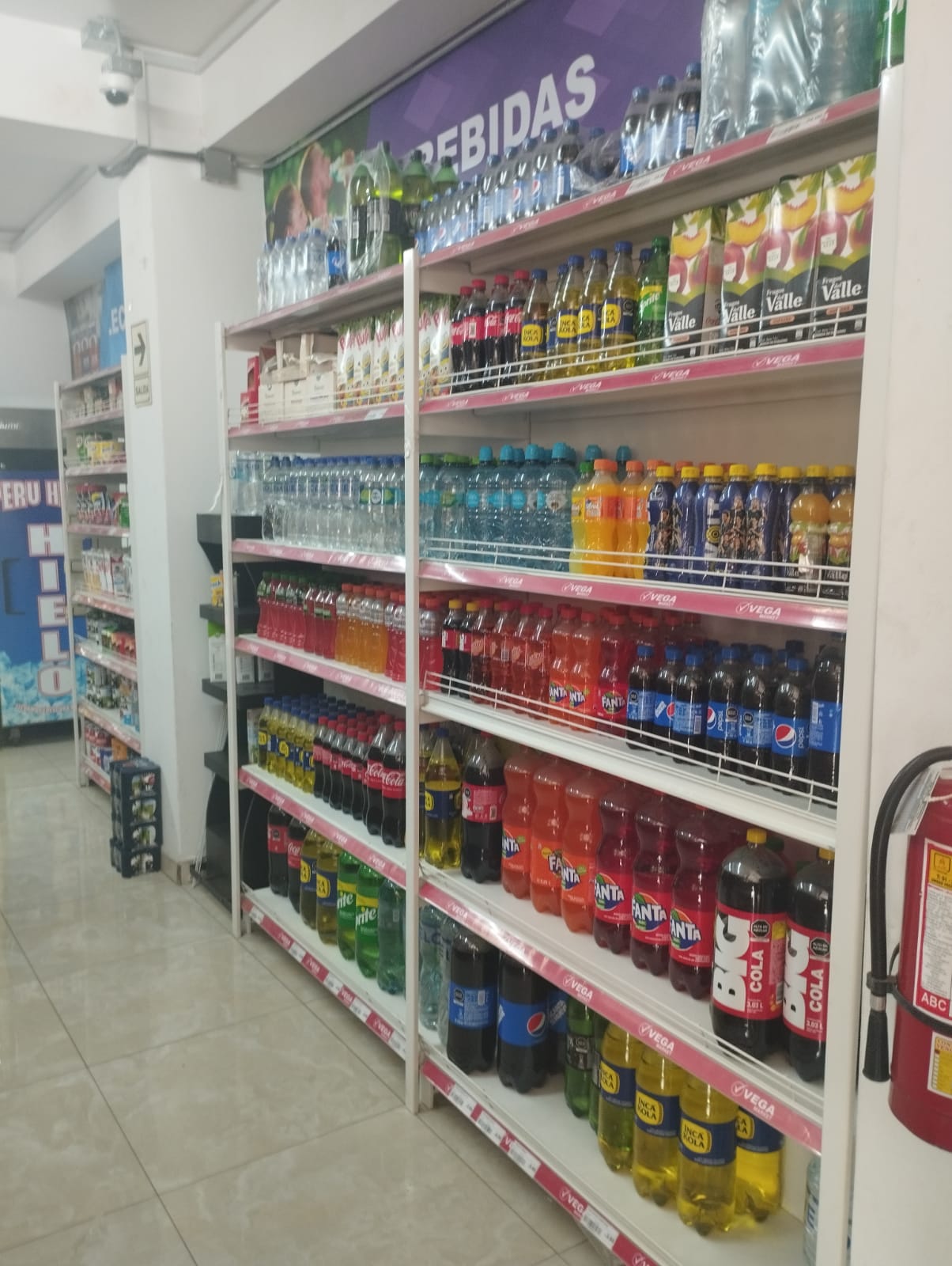 vega vega 17-04-22 -7